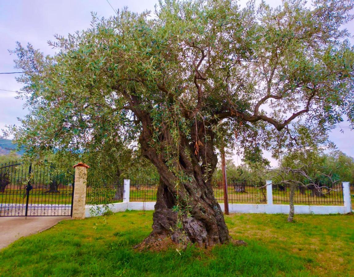 Villa Calypso Skala Rachoni  Exterior foto