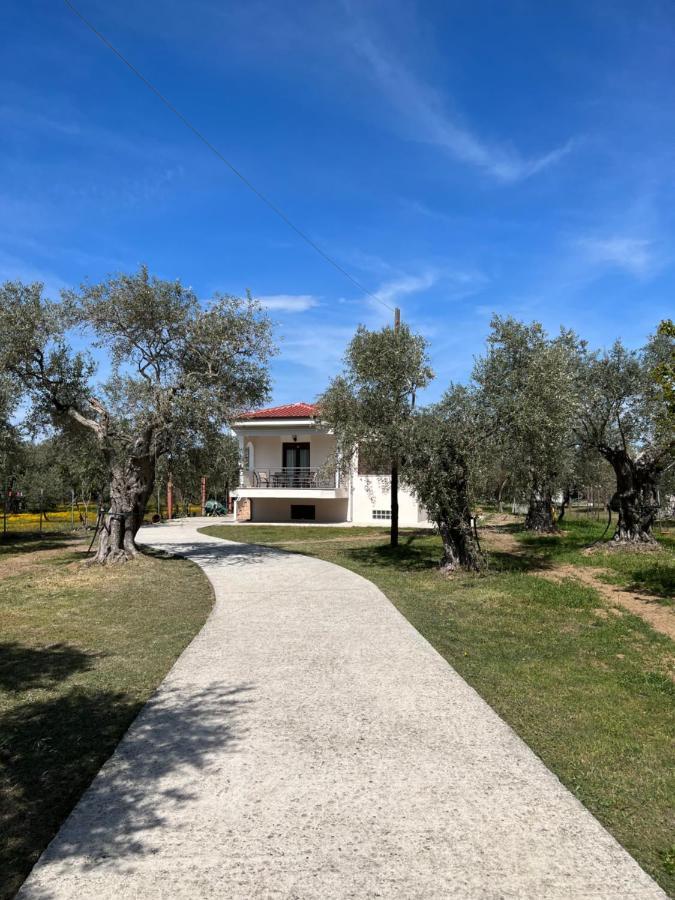 Villa Calypso Skala Rachoni  Exterior foto