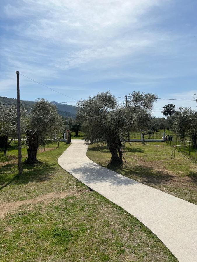 Villa Calypso Skala Rachoni  Exterior foto